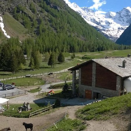 La Ferme Du Grand Paradis Конь Екстер'єр фото