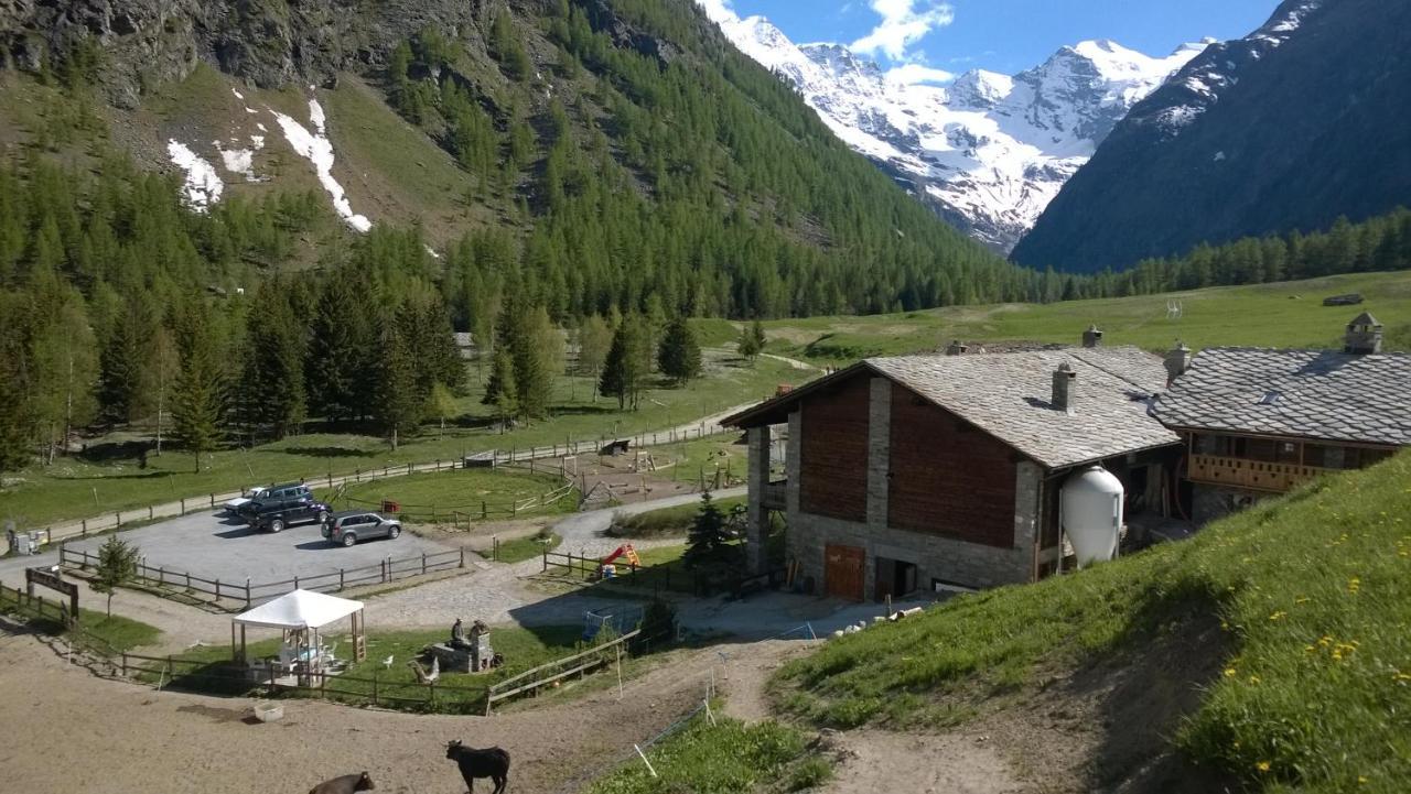 La Ferme Du Grand Paradis Конь Екстер'єр фото