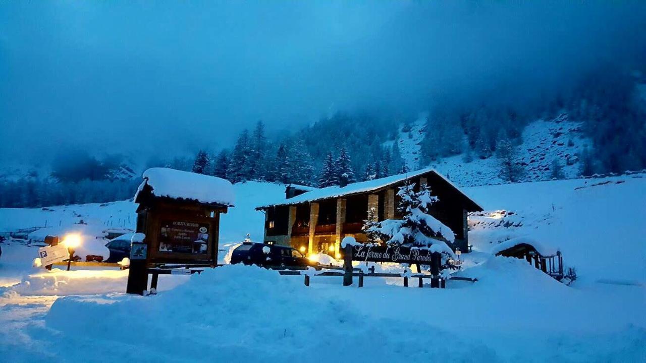 La Ferme Du Grand Paradis Конь Екстер'єр фото