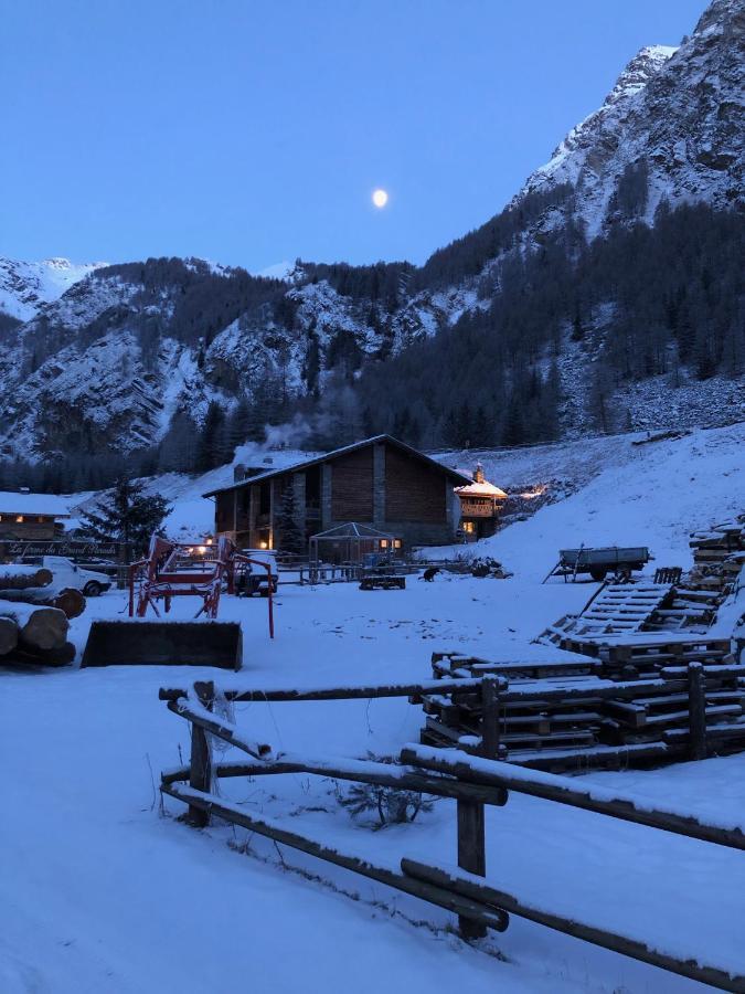 La Ferme Du Grand Paradis Конь Екстер'єр фото